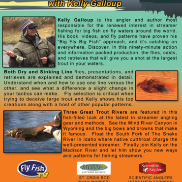 Advanced Streamer Fishing - DVD Back Cover