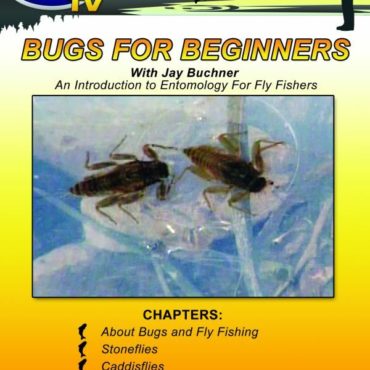Bugs for Beginners - DVD Front Cover