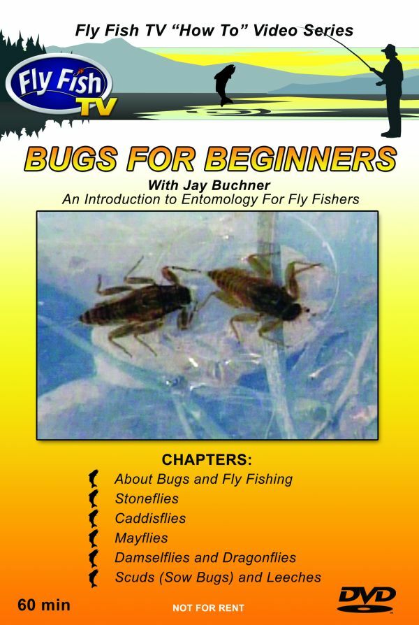 Bugs for Beginners DVD - Fly Fish TV