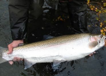 Modern Streamers For Trophy Trout: New Techniques Tactics And Patterns [Book]