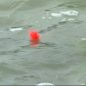 Fly Line Strike Indicator in the water