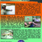 Nymphing by the Numbers - DVD Back Cover