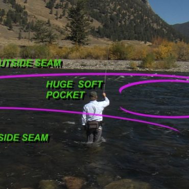 Where to Fish Graphic