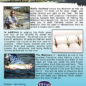 Madison River - DVD Back Cover