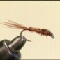 Pheasant Tail Fly