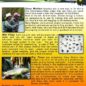 Wet Fly Ways - Back Cover - DVD