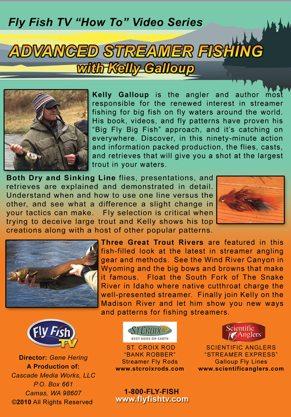  Scientific Anglers Strategies For Selective Trout DVD Video  Fishing Training Guide : Electronics