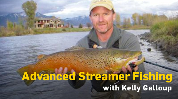 Advanced Streamer Fishing DVD - Guided Fly Fishing Madison River